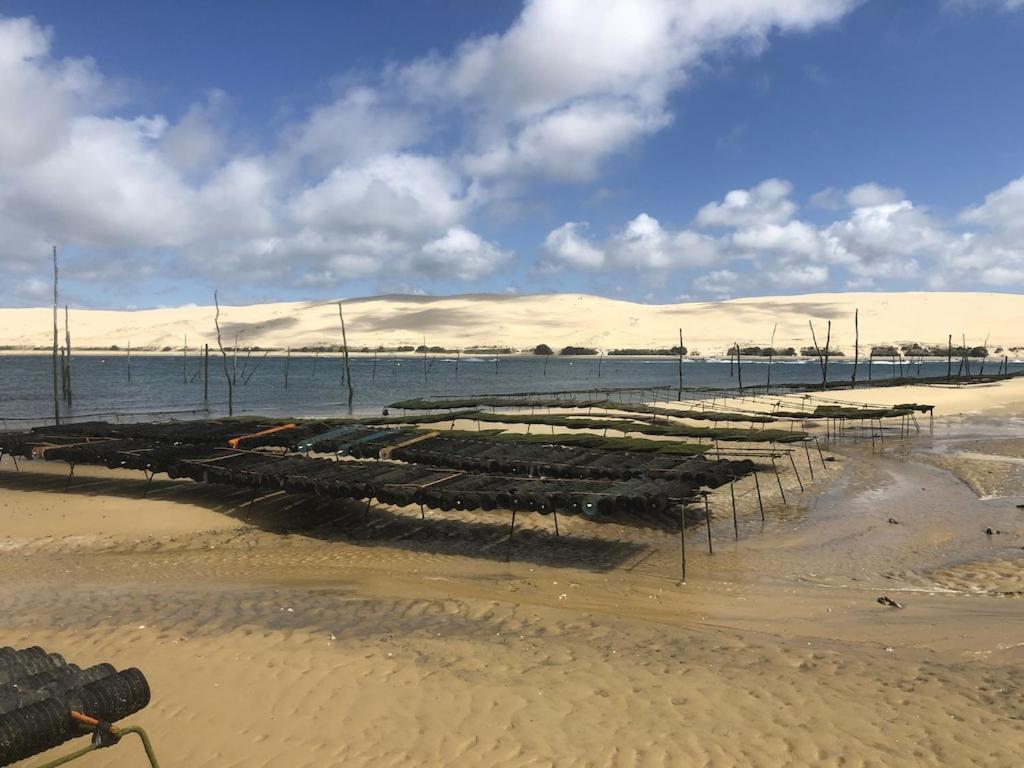 Ville Les Flots Bleus Proche Golf Arcachon La Teste-de-Buch Kültér fotó